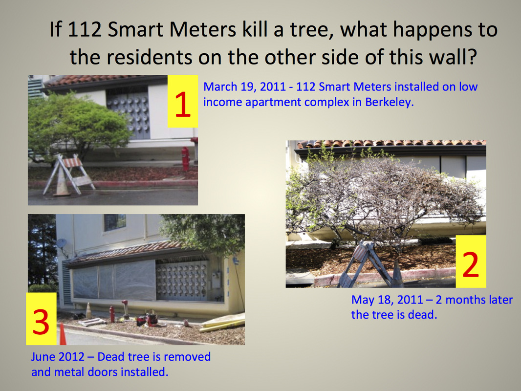 112 Smart Meters kill a tree