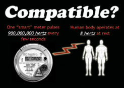 Compatible Smart Meter and Humans?